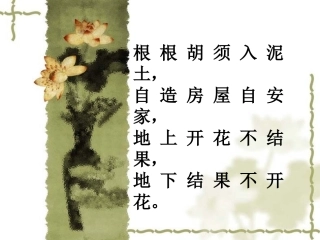 落花生pp刘玉洁