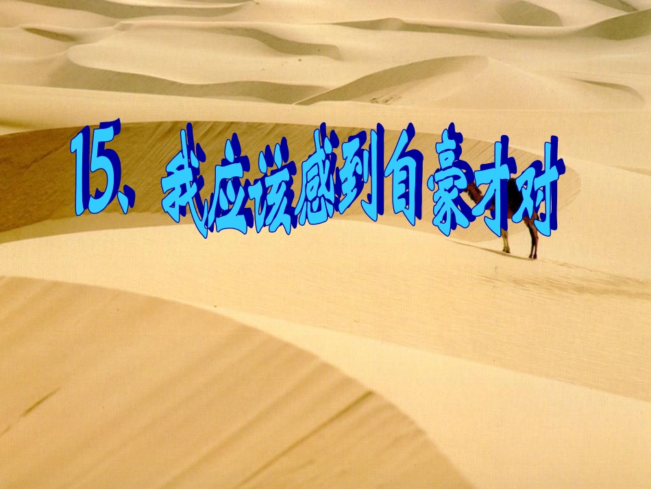 我应该感到自豪_第1页