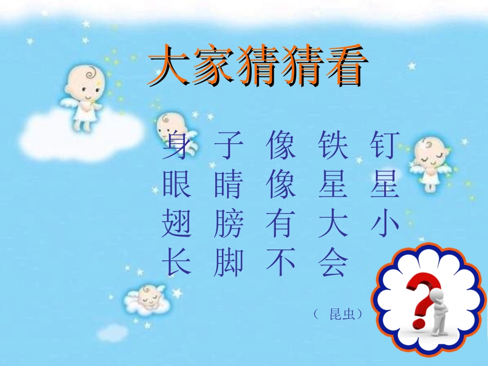 第9课人教版美术二上《蜻蜓飞飞》PPT课件3_第2页
