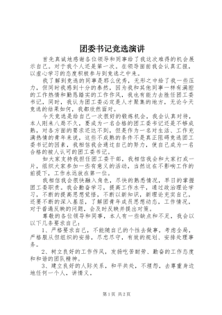 团委书记竞选演讲稿 (2)