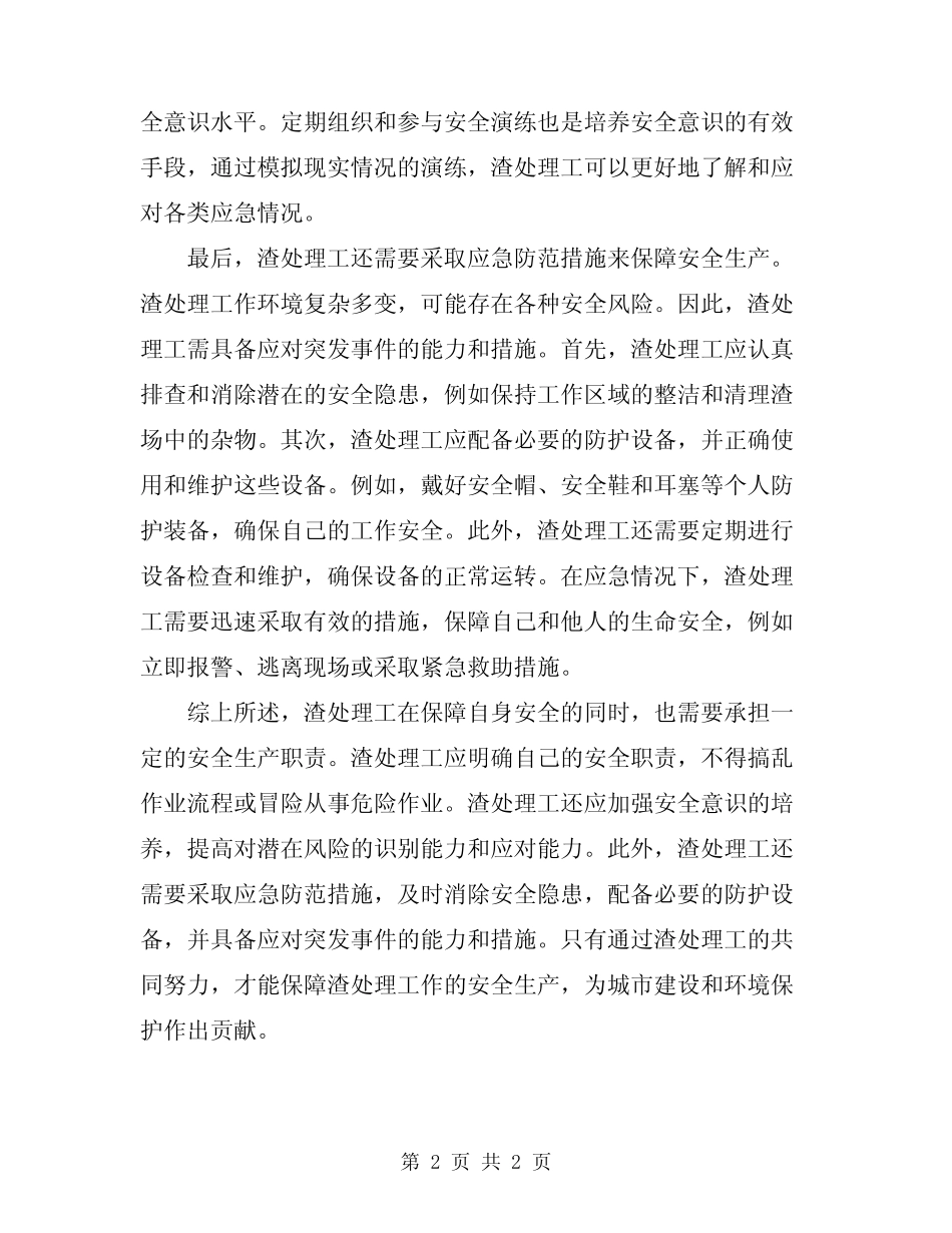 2024年渣处理工安全生产职责 _第2页