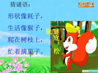 松鼠和松果课件