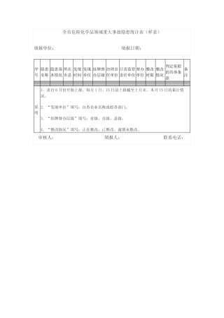 2024年全市危险化学品领域重大事故隐患统计表(样表)