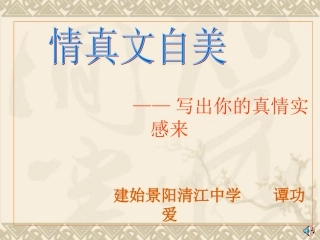 谭功爱作文课件