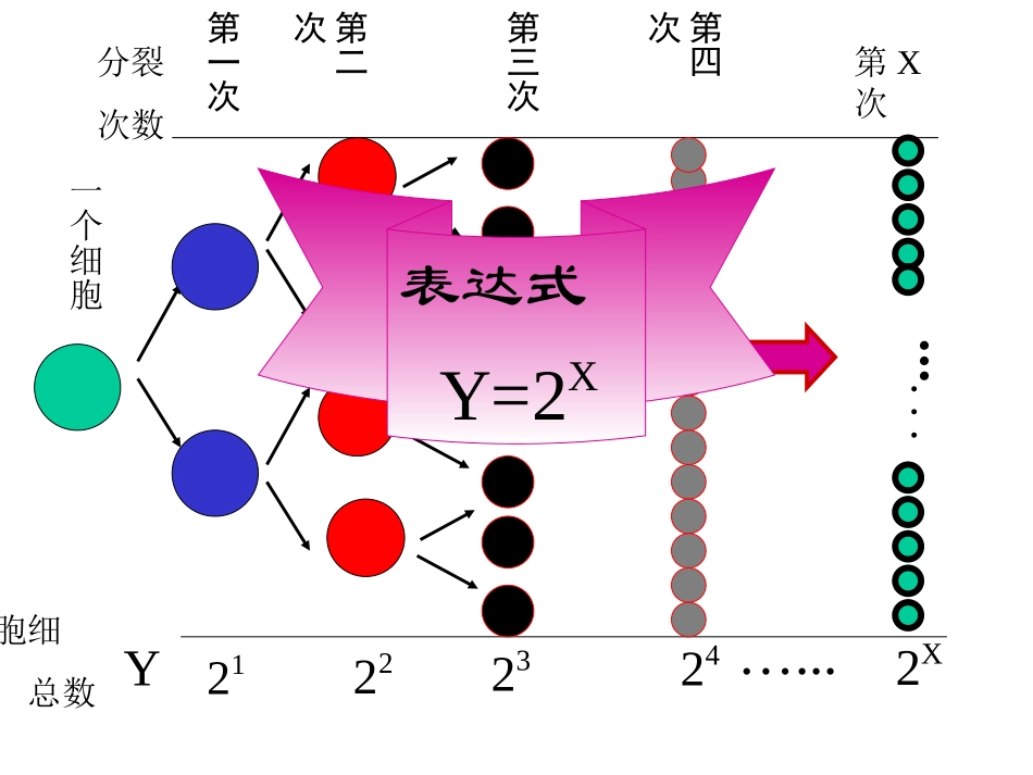 21指数函数_第3页