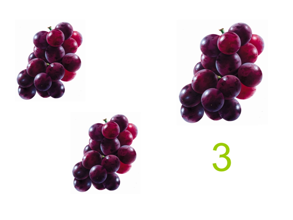 认识数字1--10_第3页