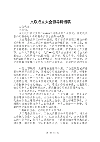 文联成立大会领导讲话发言稿 (2)