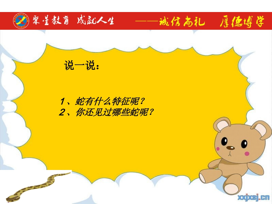 可爱的玩具蛇_第3页