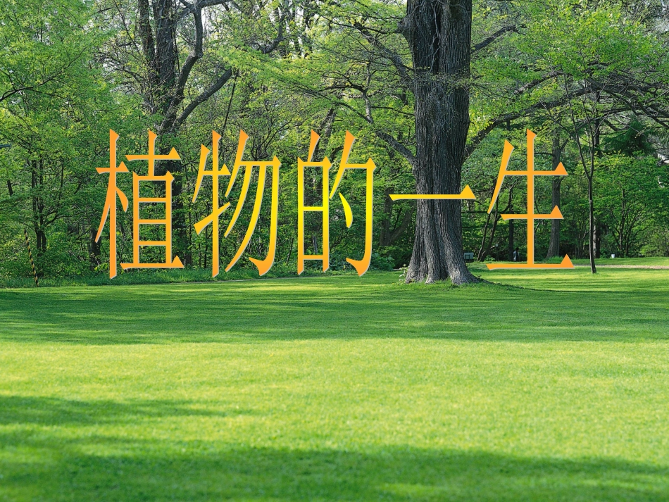 35植物的一生(第2课时)_第1页