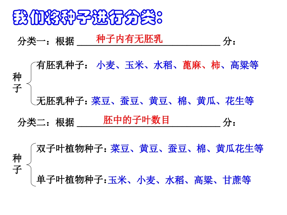 35植物的一生(第2课时)_第3页
