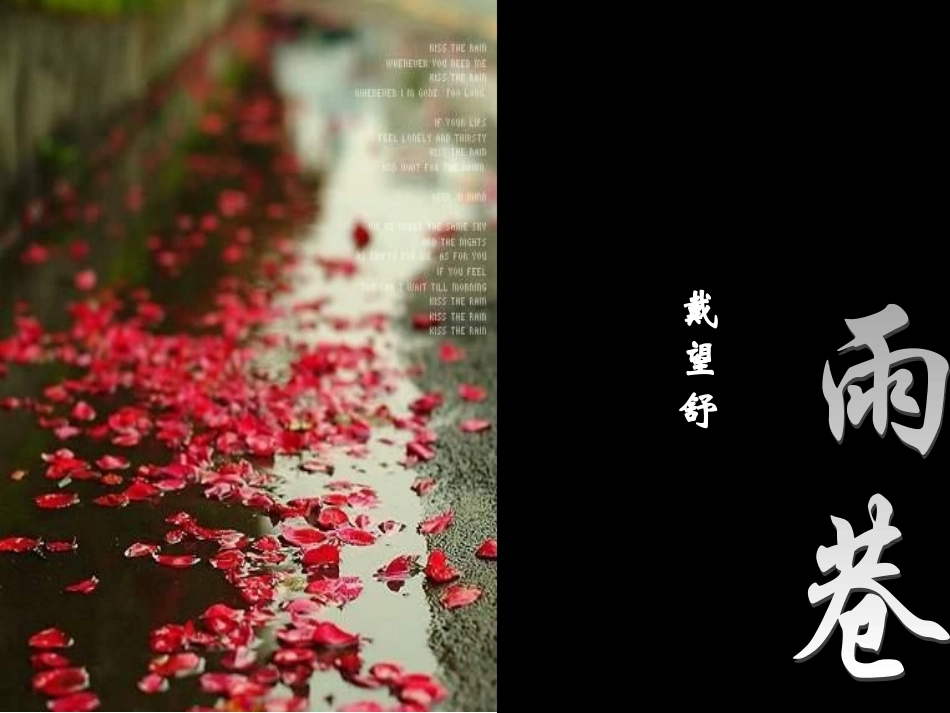 《雨巷》课件_第1页