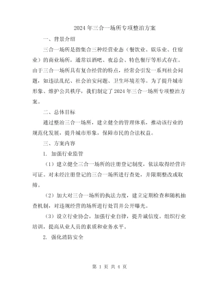 2024年三合一场所专项整治方案