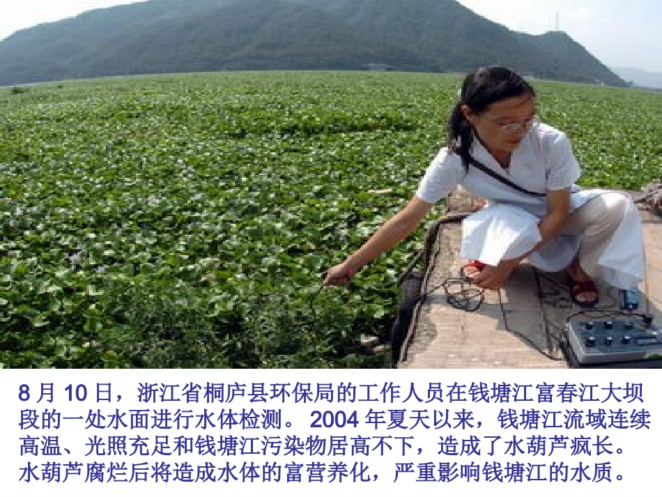 生物入侵者课件_第2页