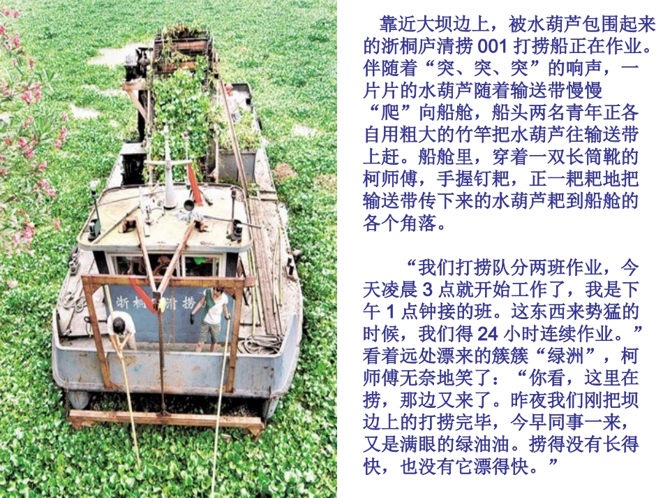 生物入侵者课件_第3页