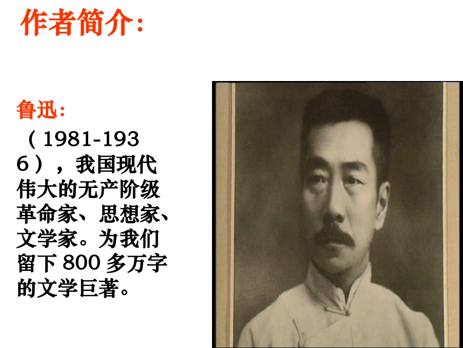 鲁迅《故乡》课件_第2页
