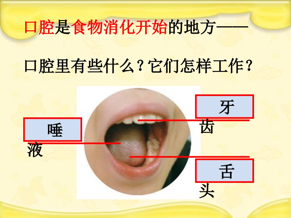46_食物在口腔里的变化_第2页