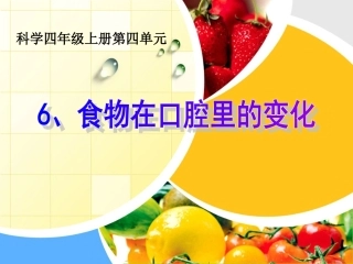 46_食物在口腔里的变化