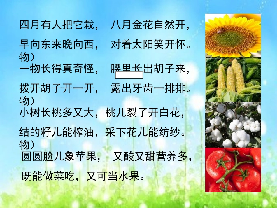 口语交际5谜语_第2页