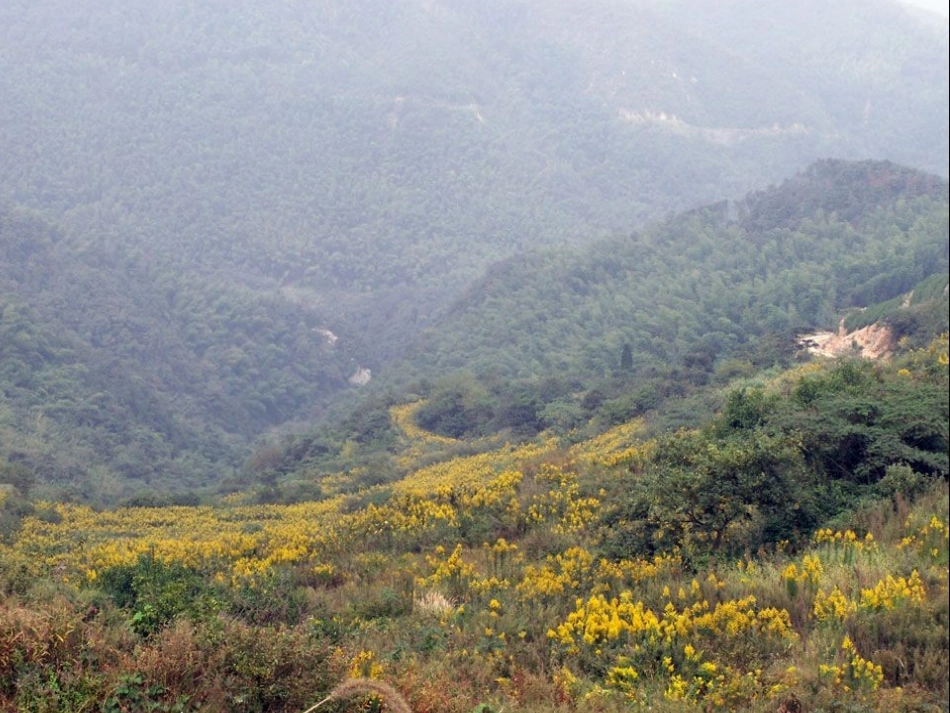 生物入侵者 (3)_第1页