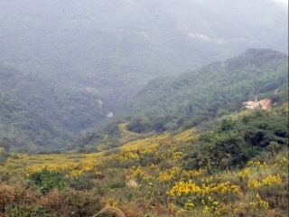 生物入侵者 (3)