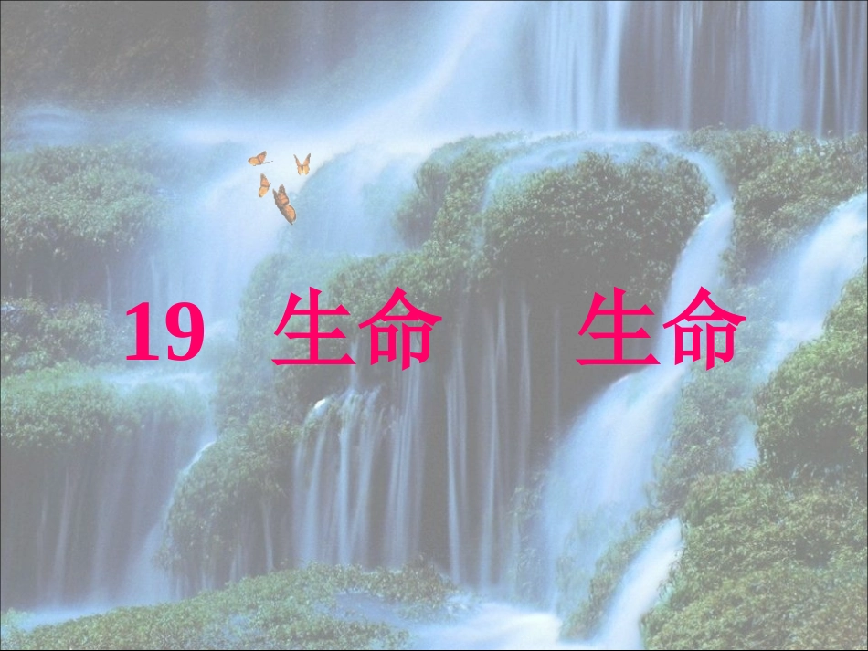 生命生命223_第1页