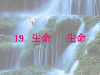 生命生命223