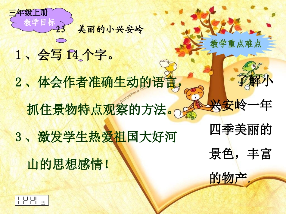 23_美丽的小兴安岭_第1页