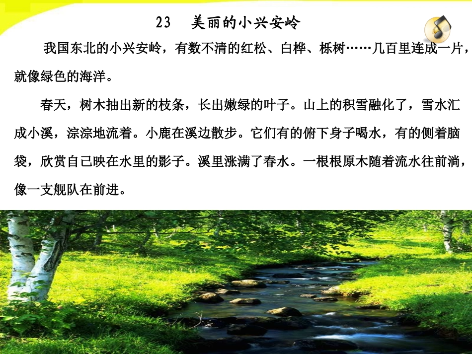 23_美丽的小兴安岭_第2页