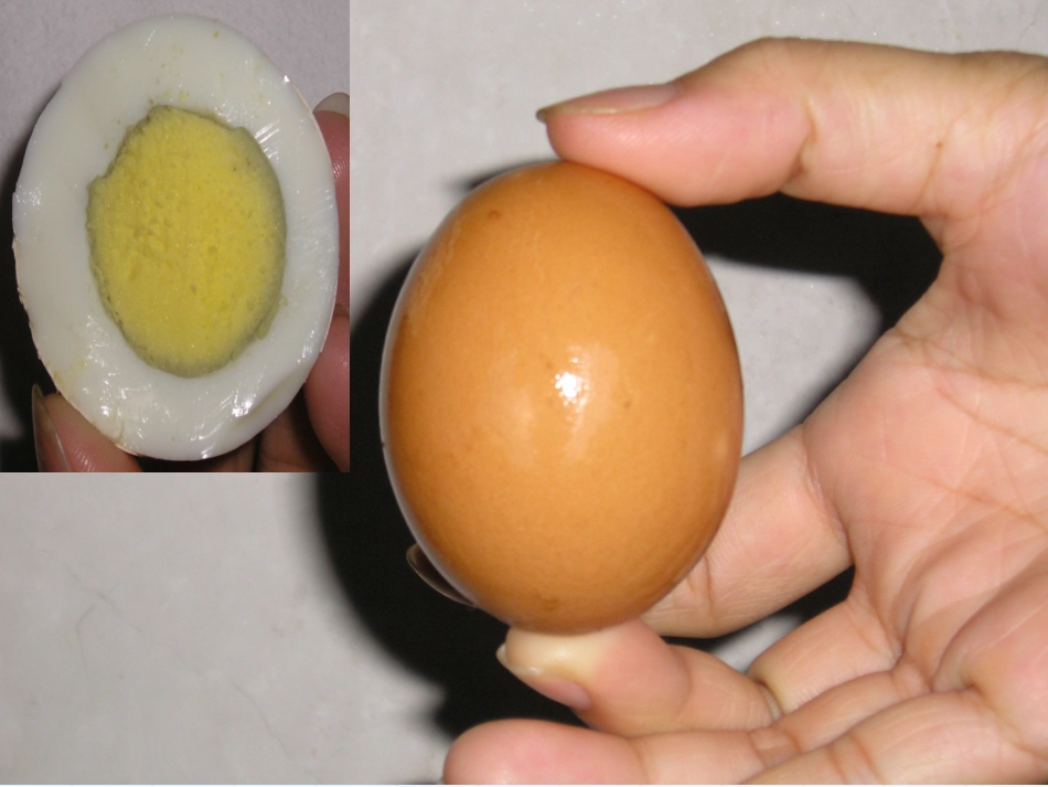 地球圈层结构_第3页