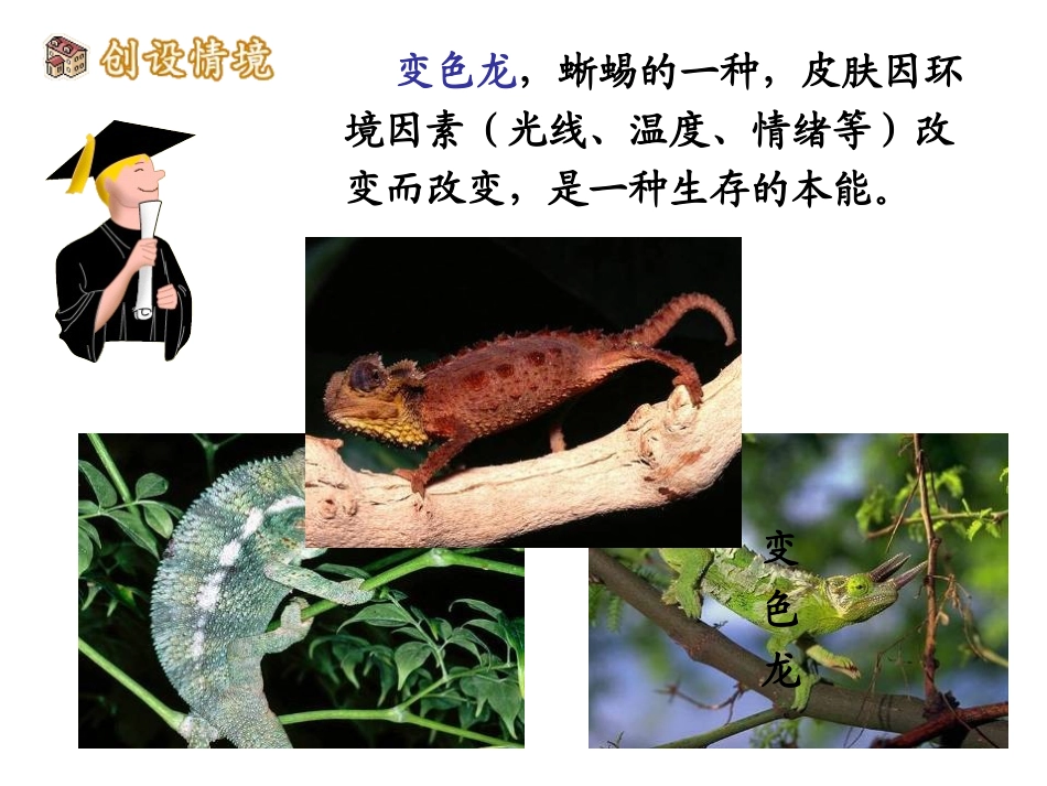 变色龙(修改_第2页