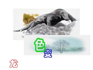 变色龙(修改