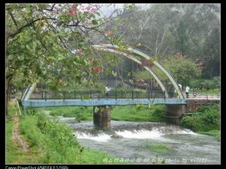 雨后的森林课件