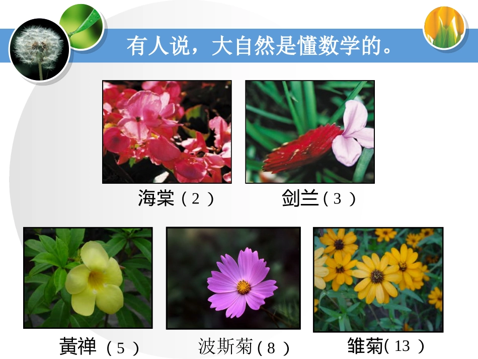 “数列”起始课_第2页