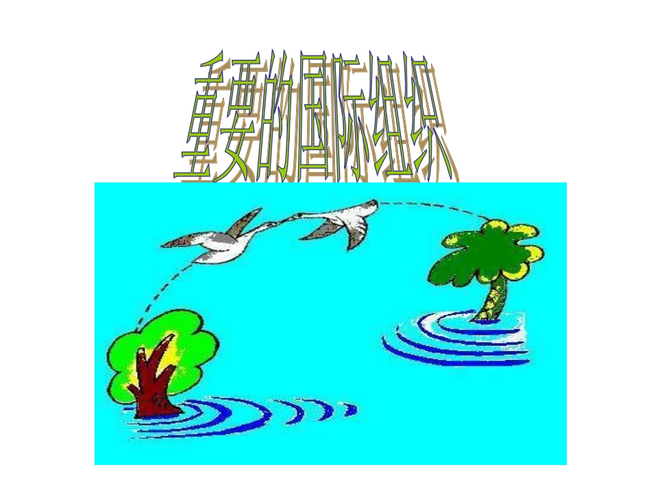 重要的国际组织_第1页