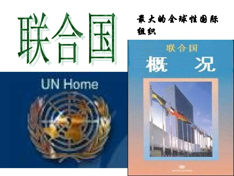 重要的国际组织_第2页