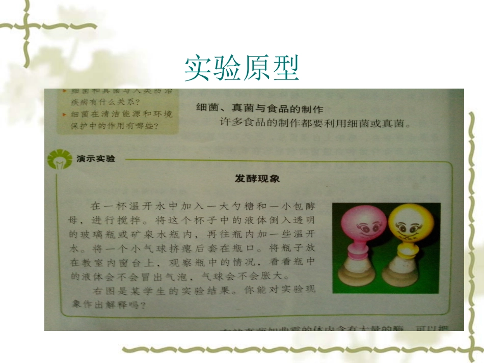 发酵实验创新_第3页