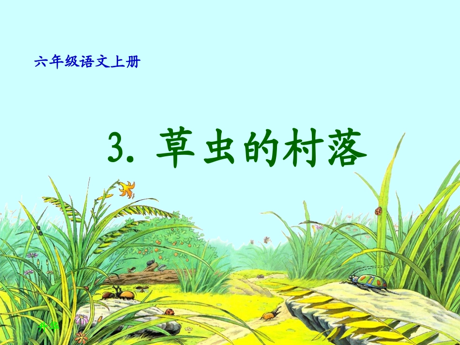 3草虫的村落PPT（六上）_第1页