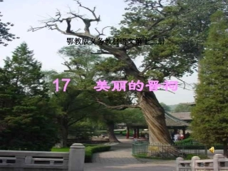 美丽的晋祠课件