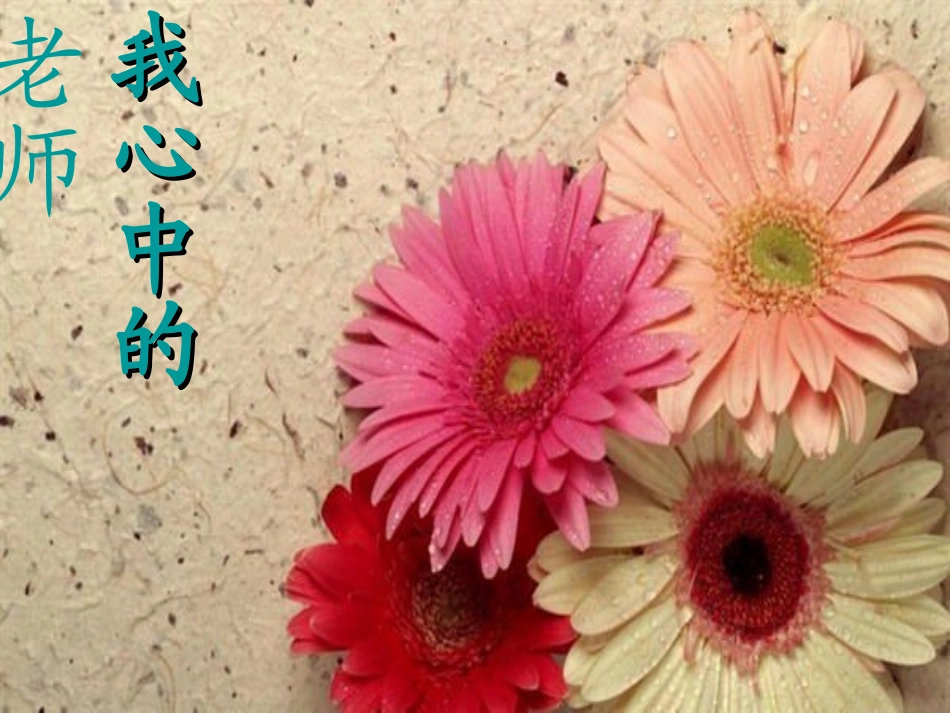 我心中的老师_第1页