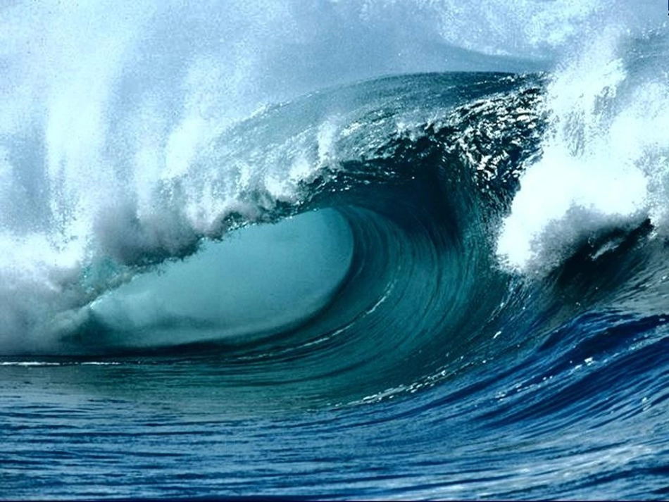 《海底世界》_第3页