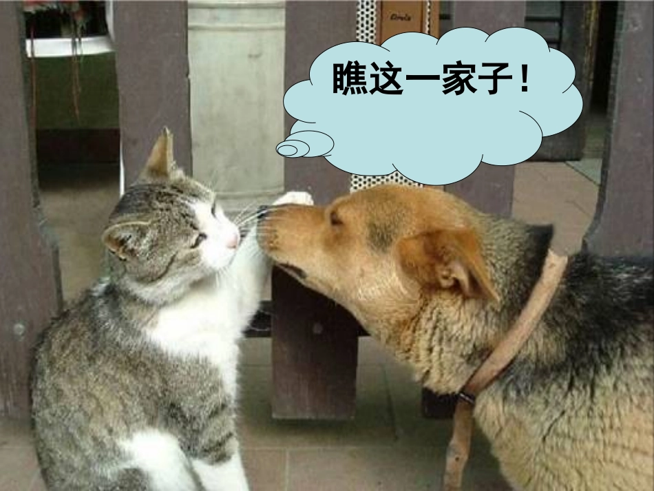 动物游戏上课_第2页