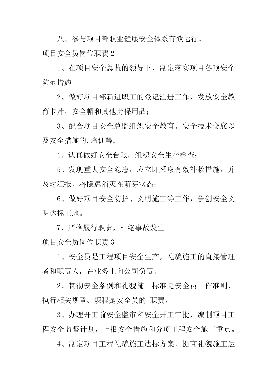 2024年项目安全员岗位职责优选 _第2页