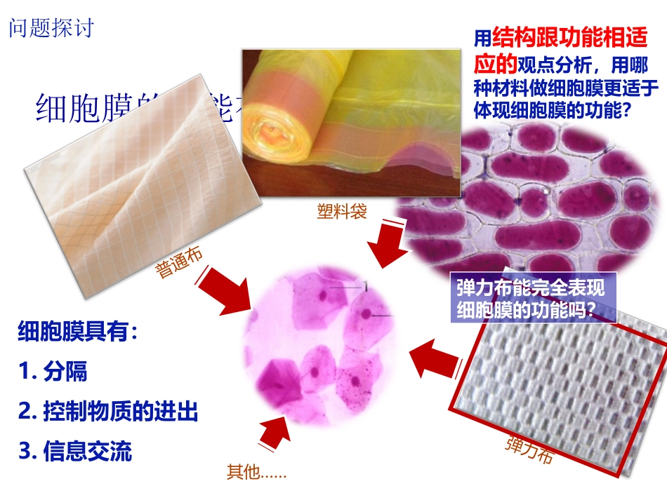 42生物膜的流动镶嵌模型_第2页