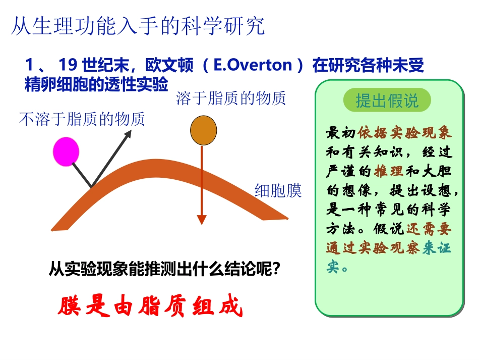 42生物膜的流动镶嵌模型_第3页