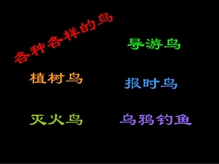 各种各样的鸟
