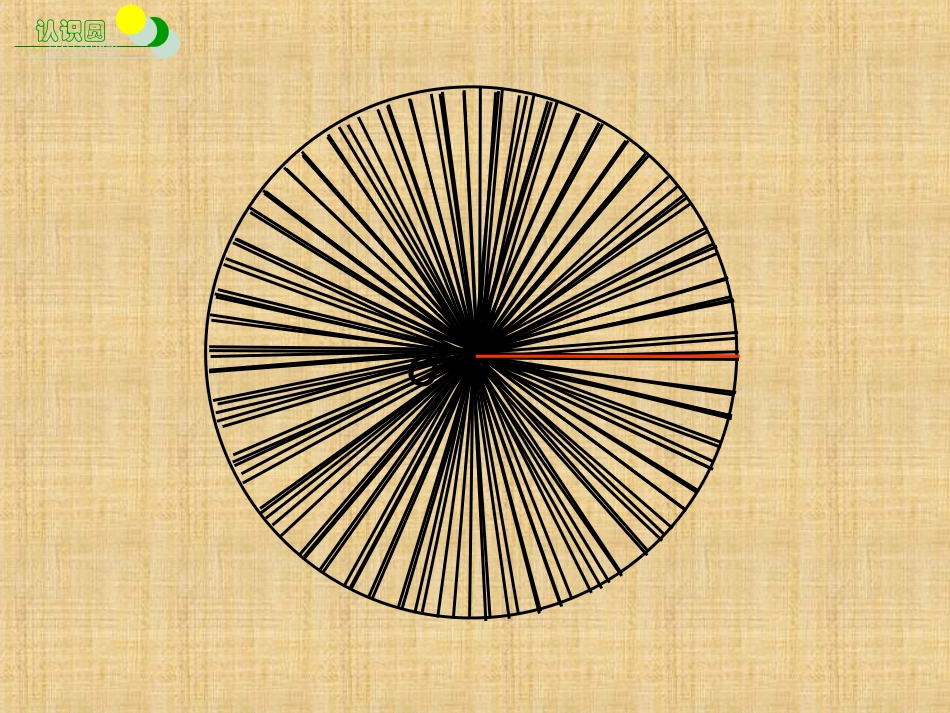 圆的认识商殿会_第3页