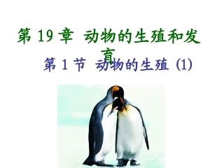 191动物的生殖