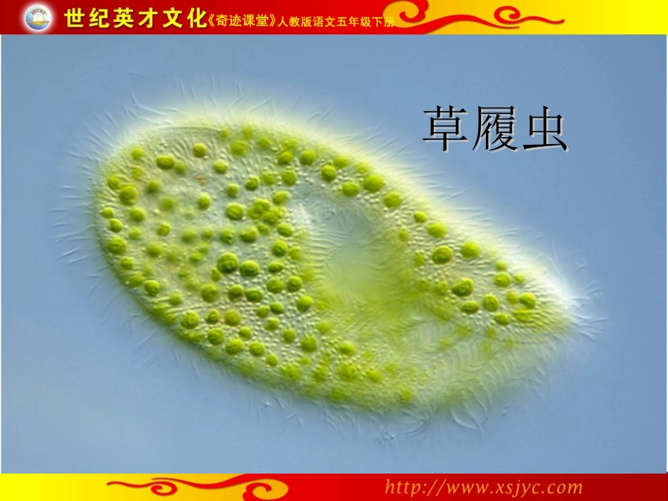 8童年的发现_第3页