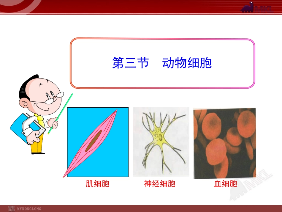 第三节动物细胞_第1页