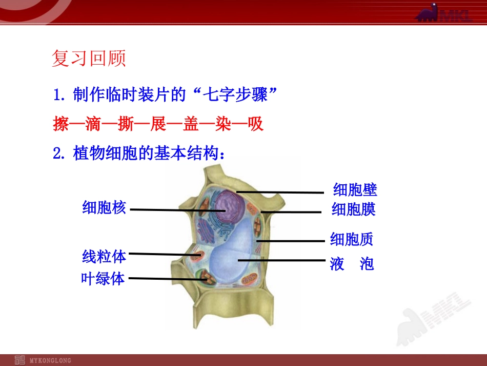 第三节动物细胞_第2页